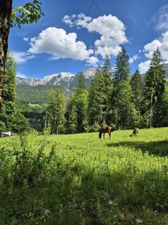 Foto von Padole entlang der Tour