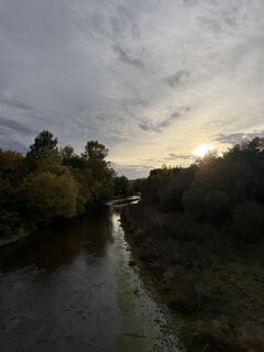 Fotografija s spletne strani Tamara na poti