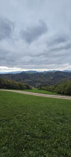 Photo de Oliver Neumann 1 le long du parcours