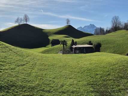 Foto de Thomi W a lo largo del recorrido