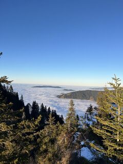 Fotografia z Aurelian Böhler na trase