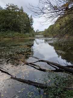 Fotografija s spletne strani Matje Derks na poti