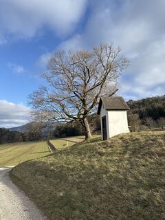 Photo de Andreas Vogel 1 le long du parcours