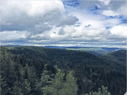 Blick auf Hornisgrinde (Ellbachseeblick Plattform)