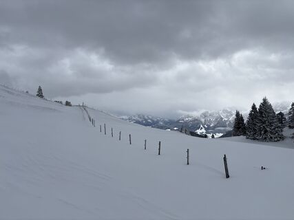 Sankt Koloman_Trattberg