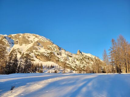 Fotografija s spletne strani Juliane Jarke na poti
