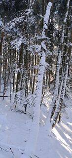 Fotografie z Buchegger Barbara na trase