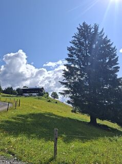 Photo de Filou und Luna le long du parcours