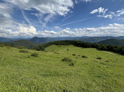 Photo de Robert Kremlicka le long du parcours