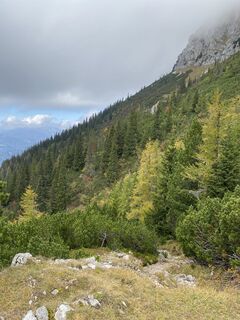 Foto von Ster entlang der Tour