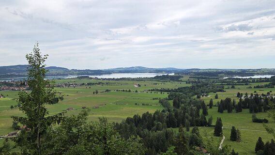 Foto von Hameister entlang der Tour