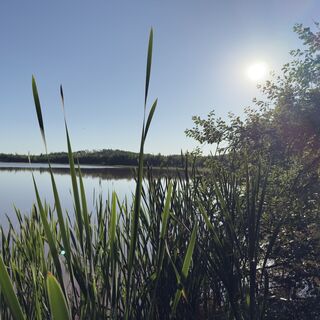Foto von Steffen Kiesel entlang der Tour