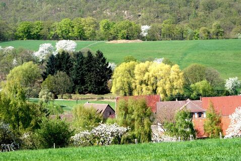 Hahnweilerhof