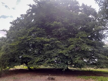 Fotografija s spletne strani Sven Behnke na poti