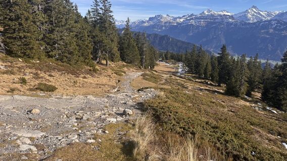 Foto von peter_oe entlang der Tour