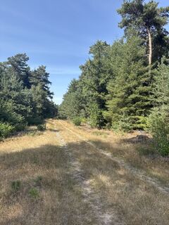 Fotografia z Babita na trase