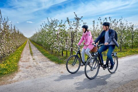Fahrrad während der Blütezeit