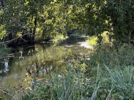 Foto de Norbert Herbig a lo largo del recorrido