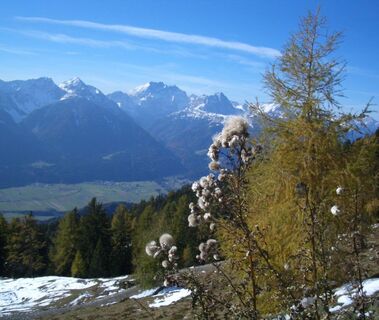 Oberes Gailtal mit Polinik, Cellon und Hohe Warte