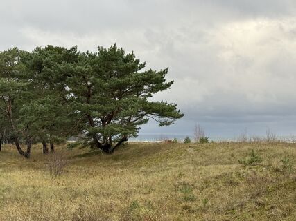 Zdjęcie z Norbert Herbig wzdłuż trasy