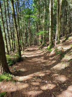Foto von Helen Weinald entlang der Tour