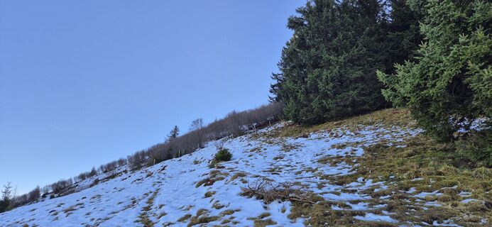 Foto de Ilse Zellan a lo largo del recorrido