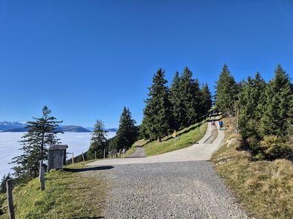 Photo de Markus Christen le long du parcours