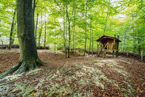 Bunte Hütte am Waldkulturpfad