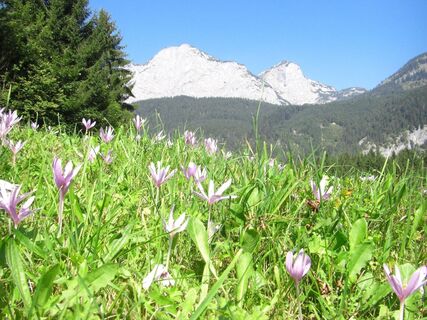 bergeseen trail 19: tauplitzalm - gößl_img_23019023