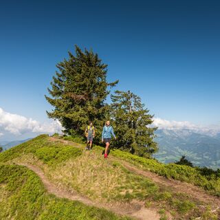 Wandern Hochgründeck