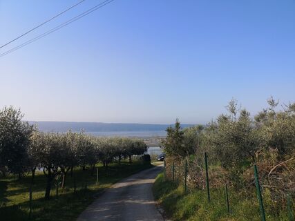 Zdjęcie z Cvetka Salamon wzdłuż trasy