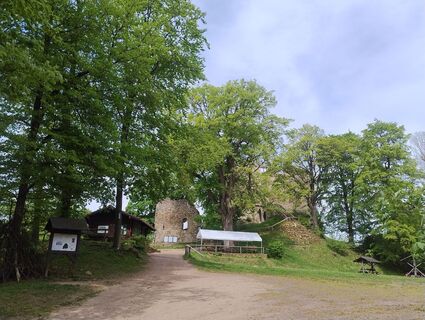 Foto von Betzenbergfex entlang der Tour