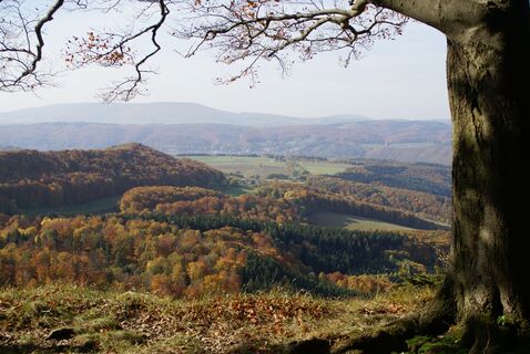 Aussicht