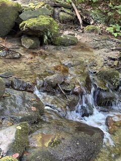 Fotografija s spletne strani Reinhard Frewein na poti
