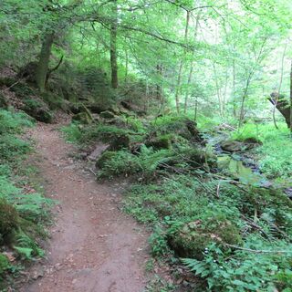 Auf schmalem Pfade durch das Schweinbachtal