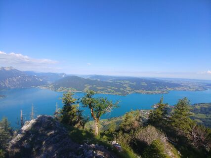 Vom Forstamt Brennerin Schoberstein Forstamt
