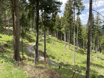 Foto von firebird 93 entlang der Tour