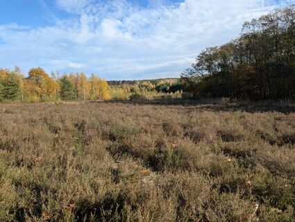 Foto von Matje Derks entlang der Tour