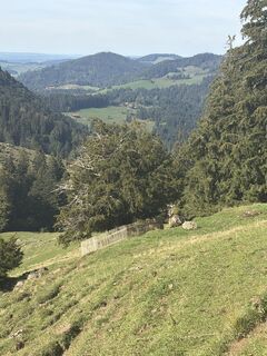 Foto von Christian Dreher entlang der Tour