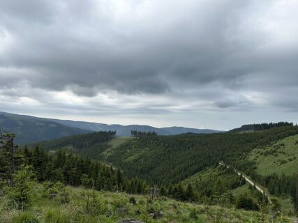 Foto von Andrea Opitz-Jandrisits entlang der Tour