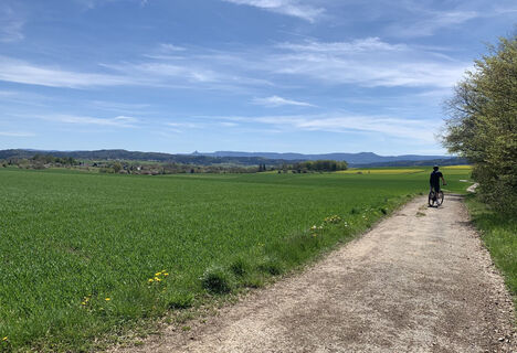 Rosen-Tour mit Blick auf den Albtrauf