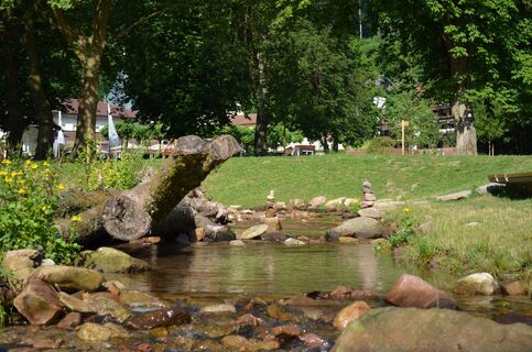 Die renaturierte Alb im Kurpark