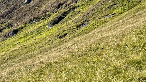 Photo de Stefan Knecht 1 le long du parcours