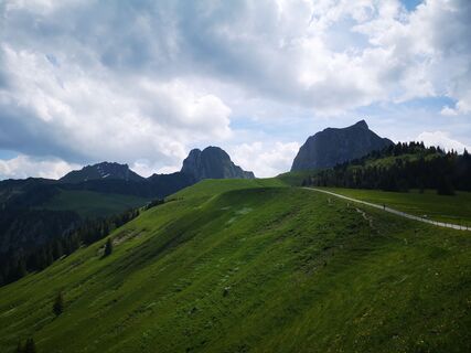 Weg Richtung Alp Obernünenen - Wasserscheide-Stockhorn