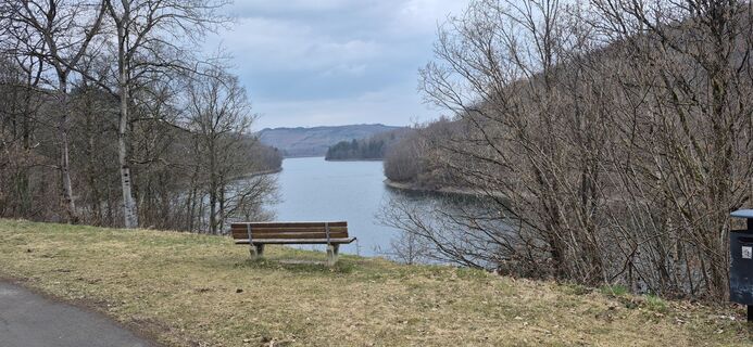 Fotografia z Helmut Damm 1 na trase