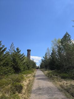 Fotografia z Michel Kennel na trase