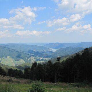 Aussicht zur Donau Richtung Spitzer Graben