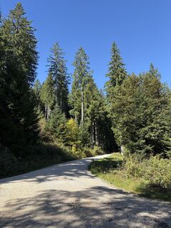 Fotografija s spletne strani Heinz Sperl na poti