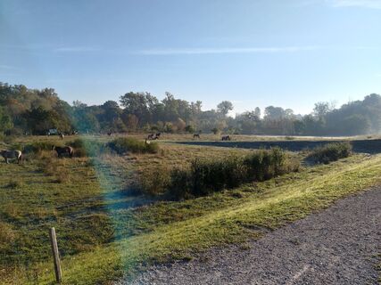Foto von Poschacher entlang der Tour