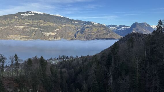 Fotografija s spletne strani peter_oe na poti